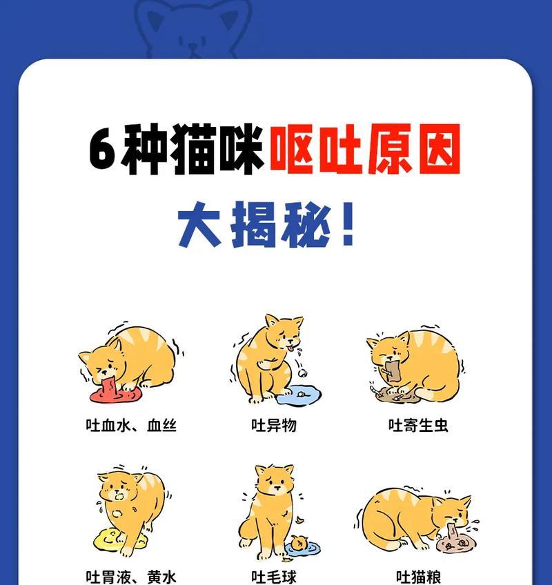 换了猫粮猫一直吐是怎么回事？如何解决猫咪换粮后呕吐的问题？
