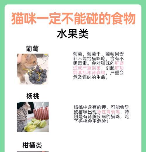 猫咪拒绝进食猫粮是何原因？如何解决？