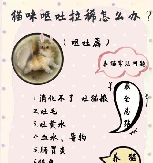 猫粮导致猫咪腹泻的原因是什么？