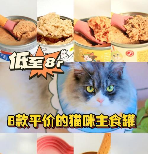 自制猫咪猫粮罐子方法？猫粮罐子有哪些创意设计？