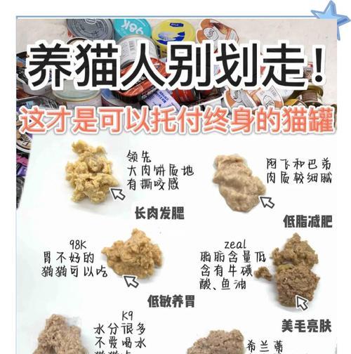 猫咪为何偏爱宠物罐头而拒绝猫粮？