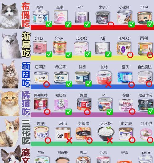 猫咪为何偏爱宠物罐头而拒绝猫粮？