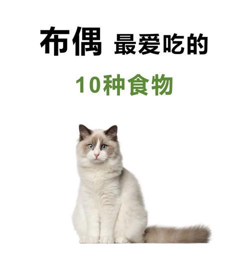 布偶猫适合吃什么味的猫粮