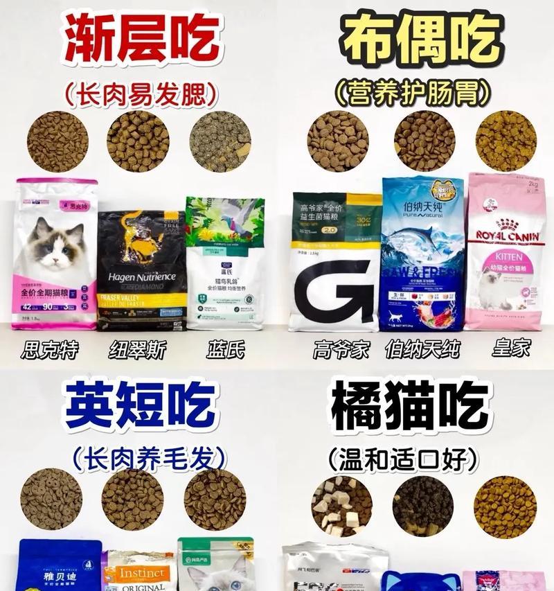 猫吃了猫粮多久会排出来？猫粮消化时间是多久？