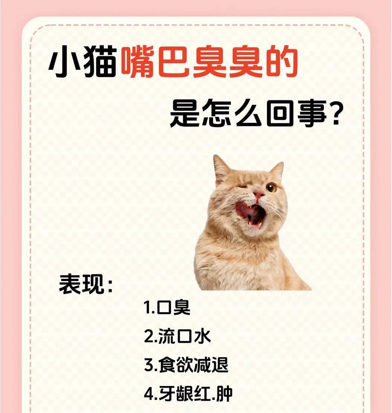 猫咪吃猫粮后嘴臭的原因是什么？如何改善？