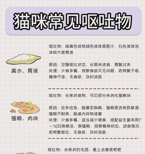 猫咪吃猫粮后呕吐是什么原因？应该怎么办？