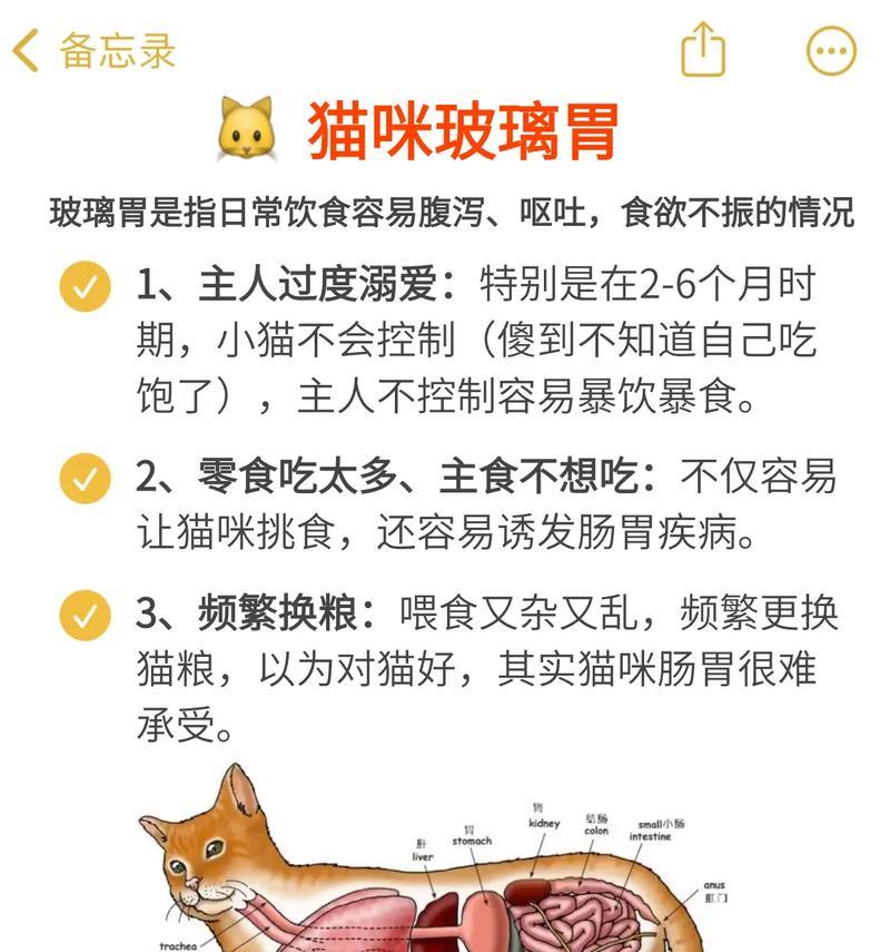 猫咪吃什么猫粮粪便正常呢怎么办？如何通过猫粮改善猫咪的消化问题？