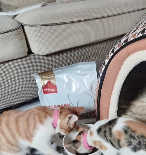 两只猫能否共用同一猫粮？