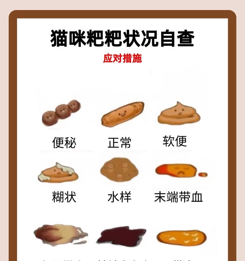 猫不吃猫粮大便正常是正常现象吗？