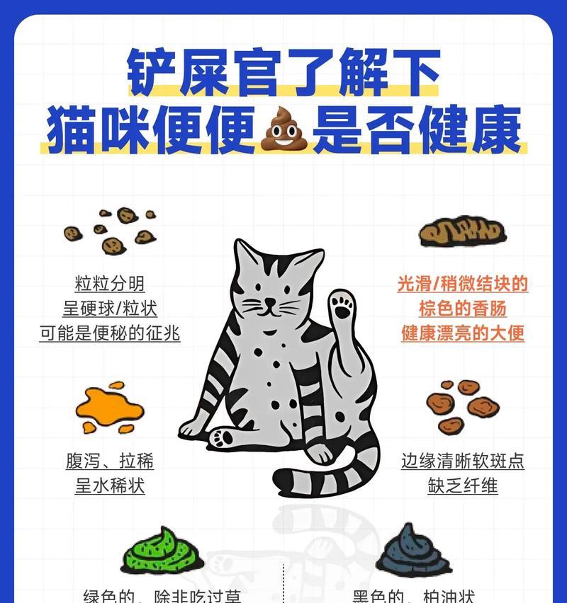 猫不吃猫粮大便正常是正常现象吗？