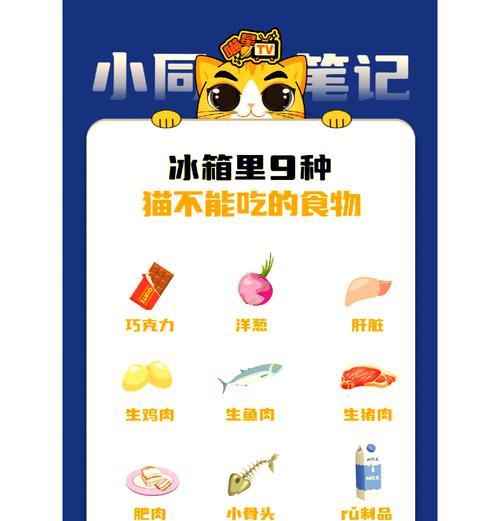 猫咪偷吃冰箱食物怎么办？如何防止猫咪偷食？