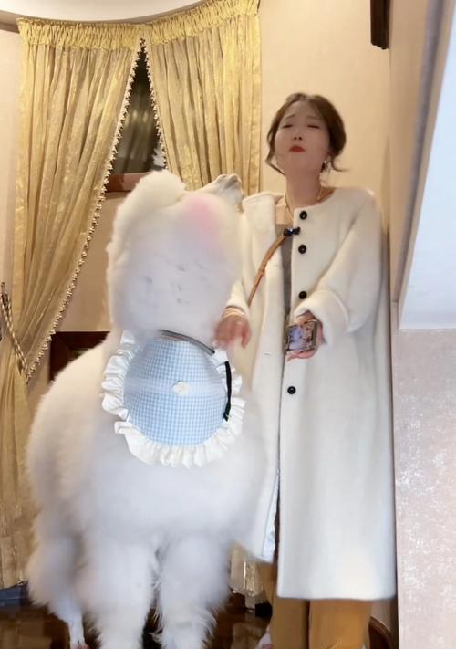 羊驼吐口水的行为和猫一样吗？原因是什么？