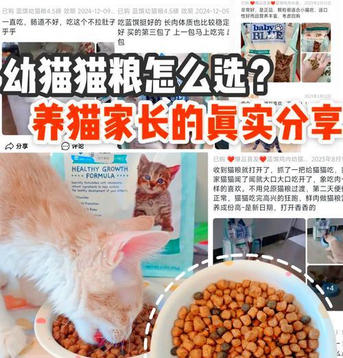 猫粮对猫咪成长有何影响？原因是什么？