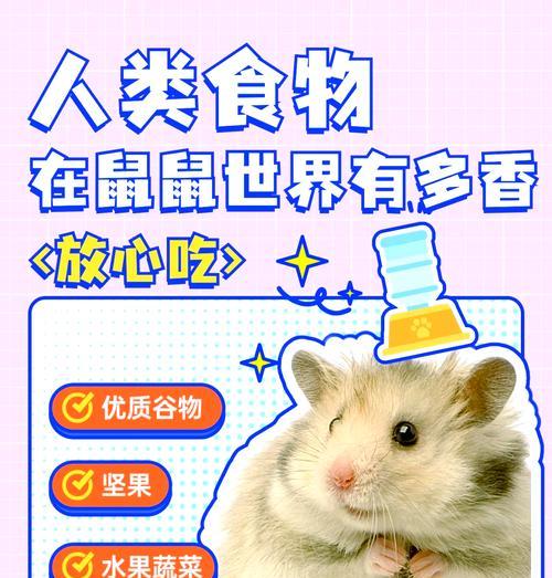 仓鼠吃马可波罗有什么影响？