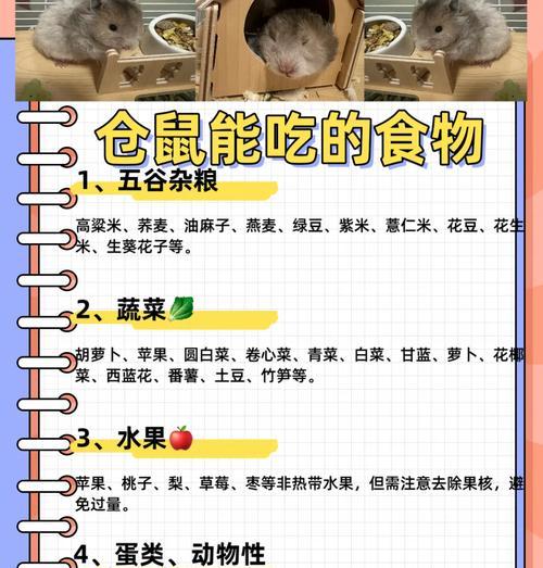 仓鼠吃马可波罗有什么影响？