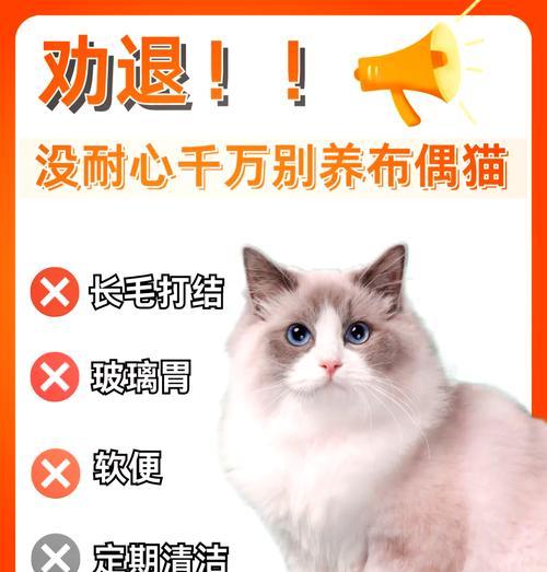 布偶吃猫粮偶尔拉稀怎么回事？是猫粮的问题吗？