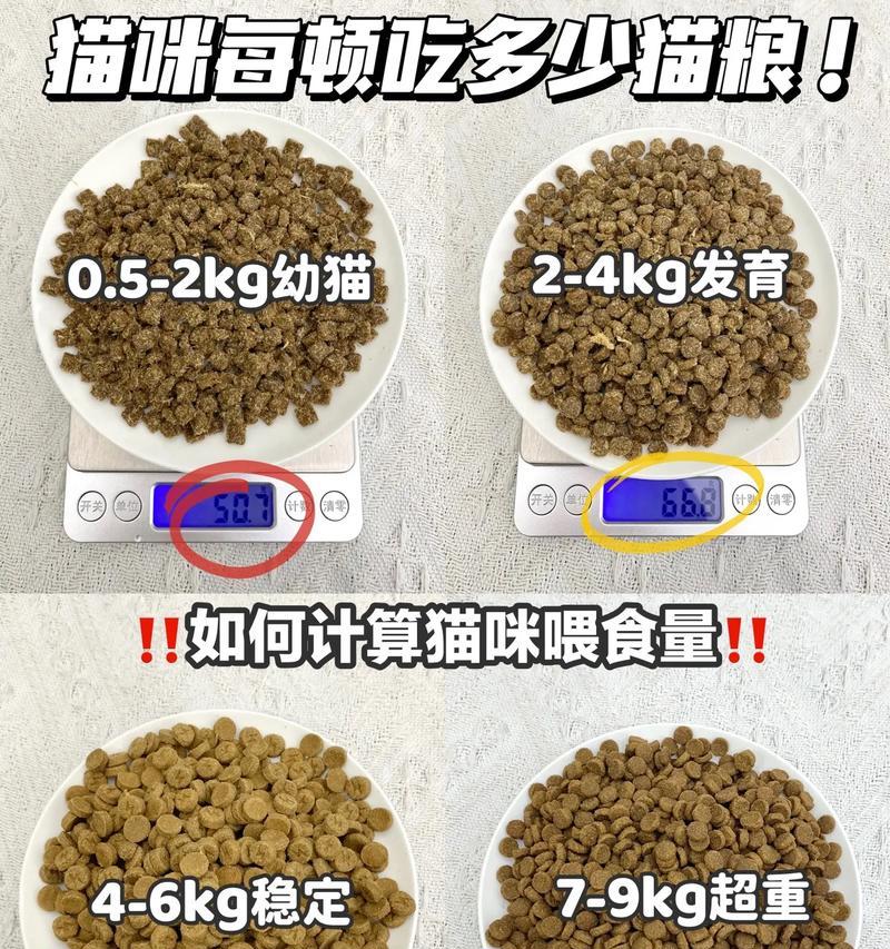 两斤小猫应该吃多少猫粮合适？