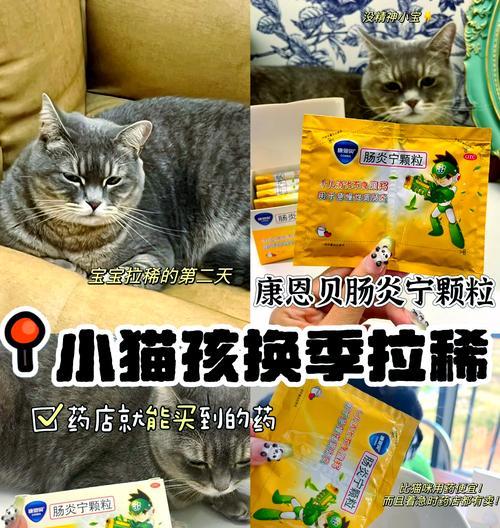 幼猫吃猫粮拉稀应该怎么办？