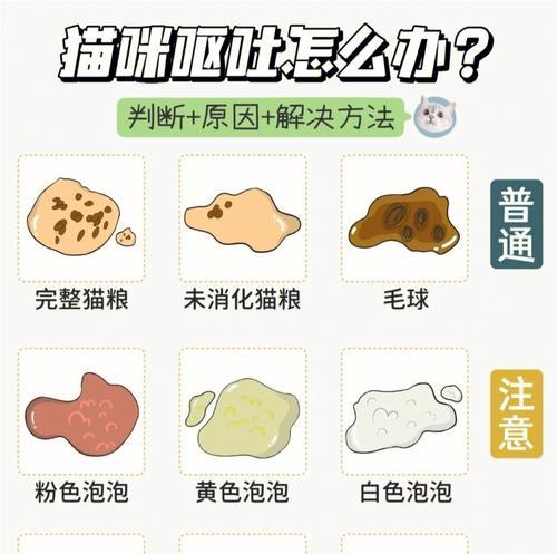 猫咪新家吐猫粮的可能原因？