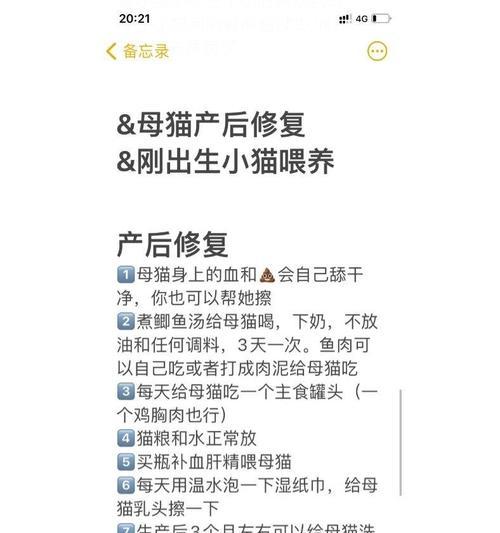 猫粮吃完了怎么办？如何及时补充？