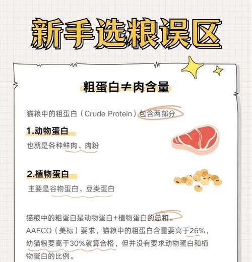 猫粮中蛋白质过高该如何处理？