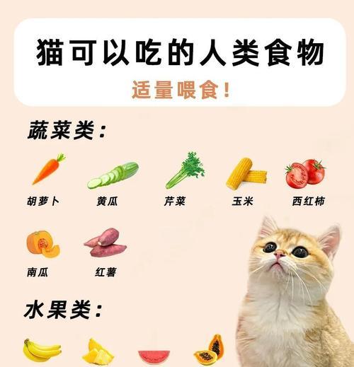 春节期间猫咪应如何正确喂食猫粮？