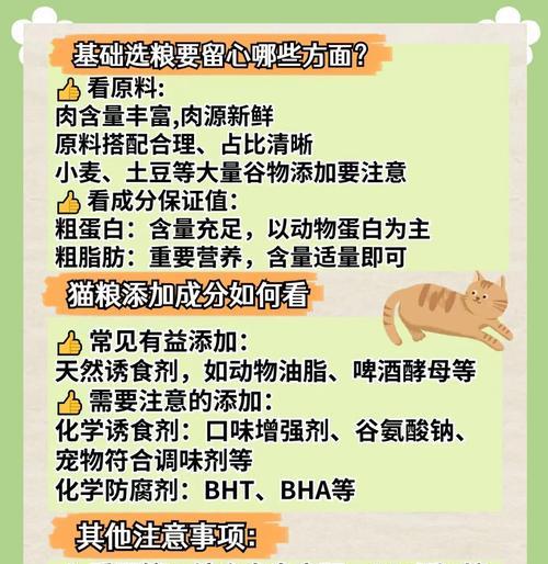 哪些猫粮会导致猫咪肥胖且不掉毛？
