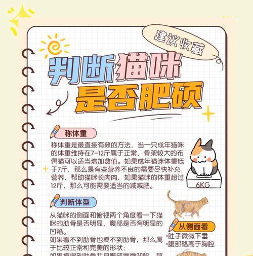 哪些猫粮会导致猫咪肥胖且不掉毛？