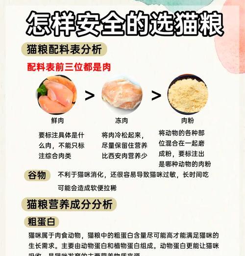 养猫时选择哪种猫粮最健康安全？如何确保猫粮的质量？