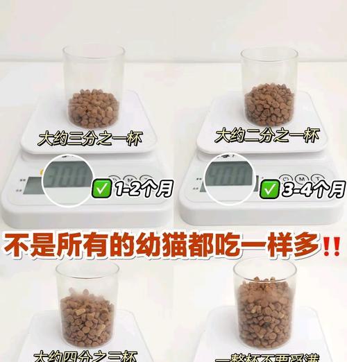 猫粮混米饭怎么喂？这种混合喂食是否科学？
