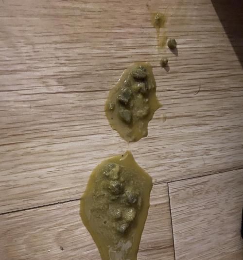 猫咪吃了假猫粮后会有什么反应？呕吐是正常现象吗？