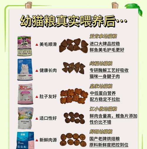 幼猫换粮时应该选择哪种猫粮？