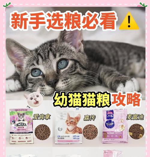幼猫换粮时应该选择哪种猫粮？