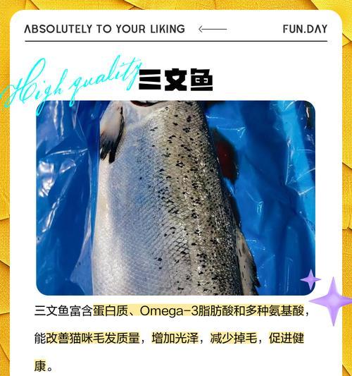 奶妈不让给猫吃猫粮时应如何处理？有哪些替代方案？