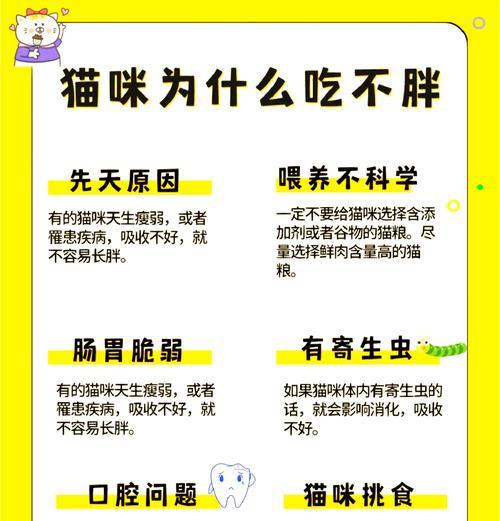 猫咪为何排斥新猫粮的味道？如何帮助猫咪适应新猫粮？