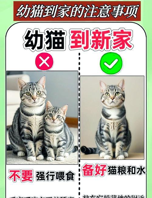 猫咪为何排斥新猫粮的味道？如何帮助猫咪适应新猫粮？