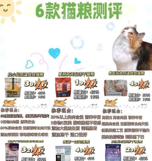春节前猫粮哪里买最经济？囤货时应注意什么？
