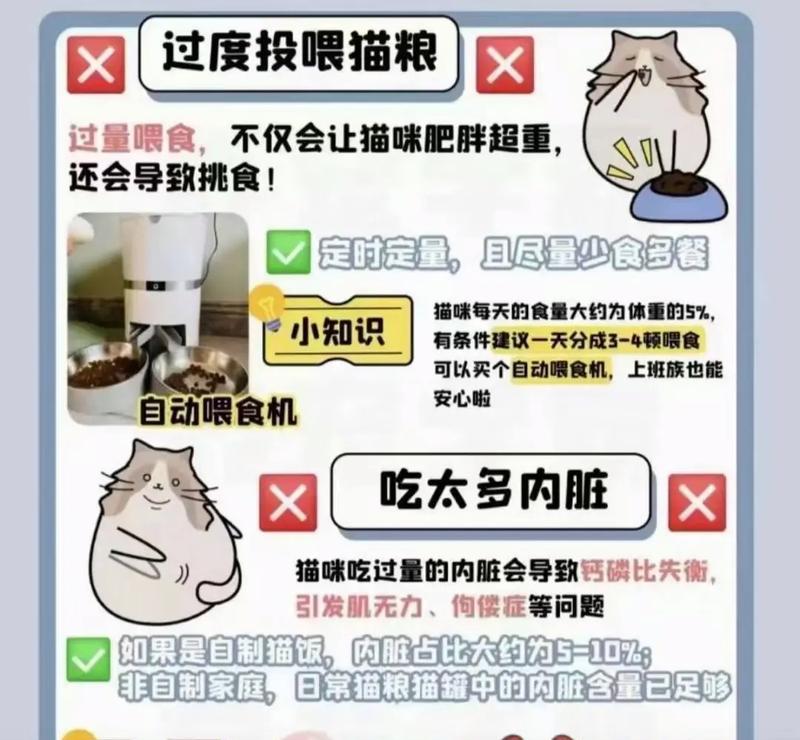 猫粮为何需要冻干处理？如何正确喂食？