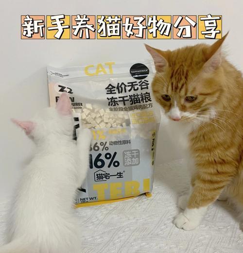猫粮为何需要冻干处理？如何正确喂食？