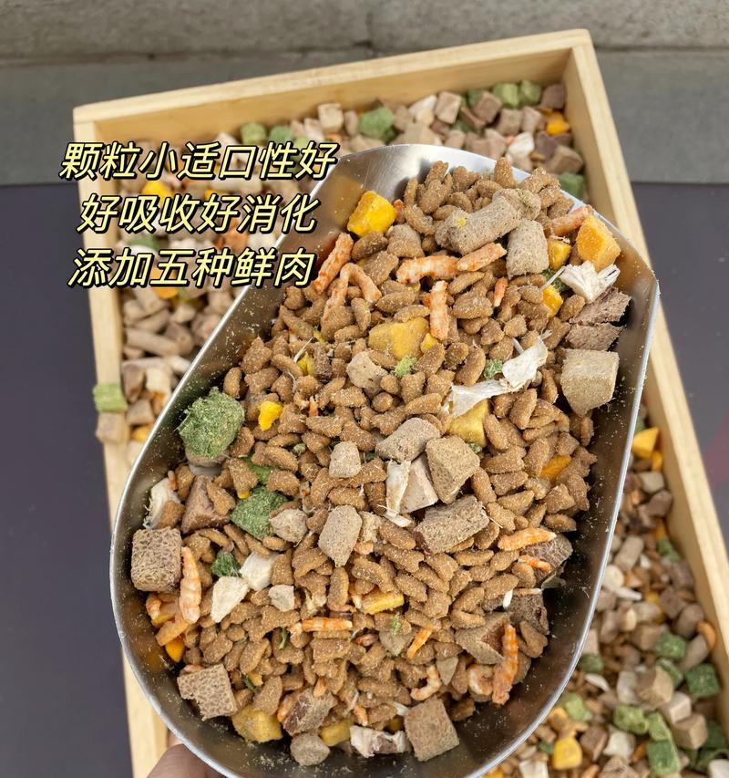 猫粮为何需要冻干处理？如何正确喂食？