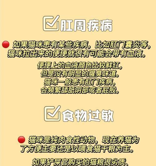 换粮后猫咪便血怎么办？如何安全过渡？