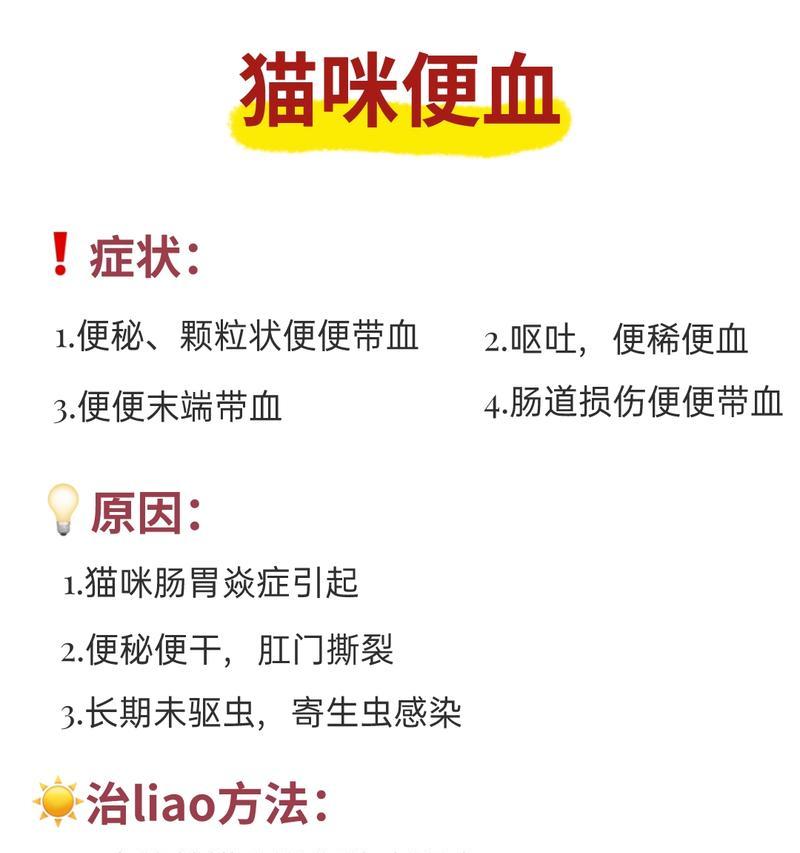 换粮后猫咪便血怎么办？如何安全过渡？