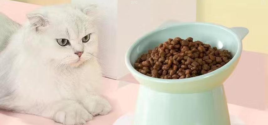 碗里没猫粮就捣乱怎么回事？这是猫咪的什么行为？