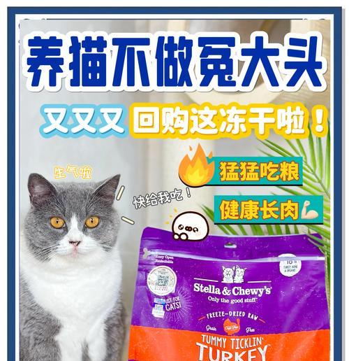 猫只吃猫粮和鱼干行吗？如何正确喂养？