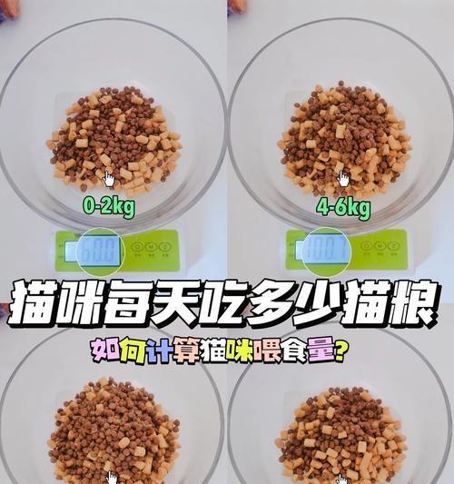 为什么我喂猫粮猫咪才吃？怎样让它更愿意进食？