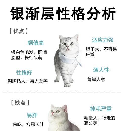 猫为何拒绝猫粮？剩饭习惯影响分析？