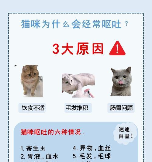 猫咪食欲不振是病吗？猫粮摄入量少的常见原因？