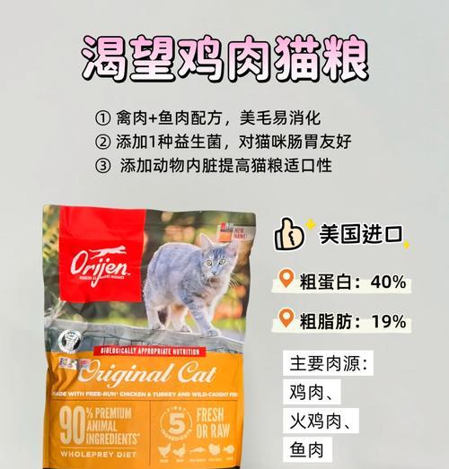 长肉小猫适合哪种猫粮？