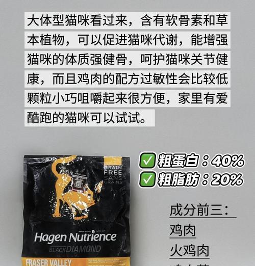 长肉小猫适合哪种猫粮？