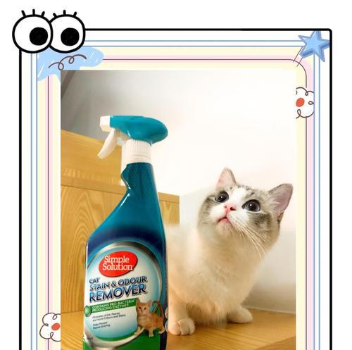 猫粮的异味如何去除？散味的有效方法有哪些？